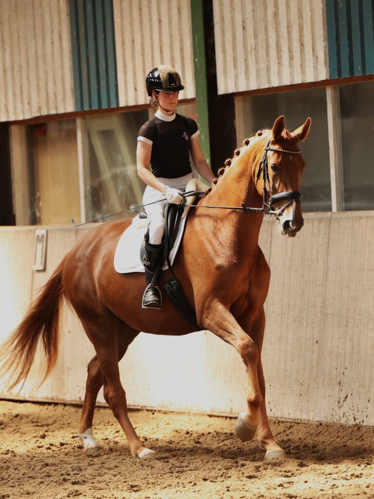 beautiful broodmare with predicates