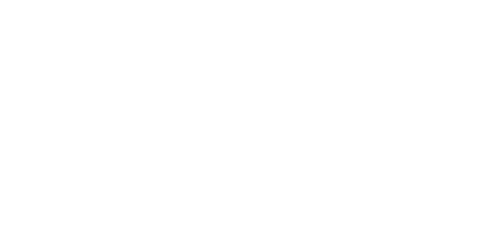 Amstelhorses
